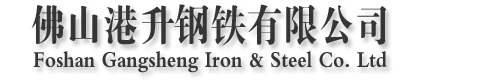 浙江新黎明照明股份有限公司